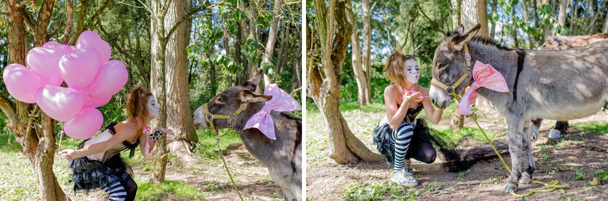 Silke Brünnet Fotografie - Tierlieb