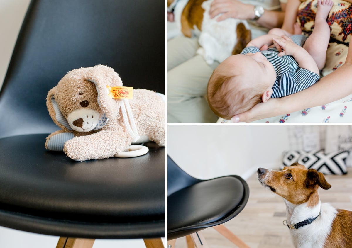 silke brünnet fotografie - Eine wunderbare Familie