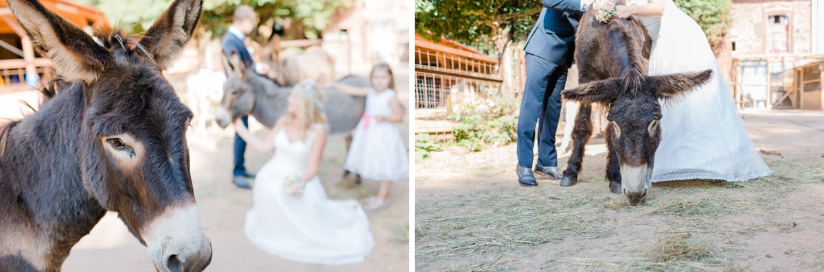 silke brünnet fotografie - Afterwedding Shooting mal anders